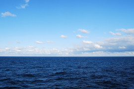 Thumbnail for 7008074