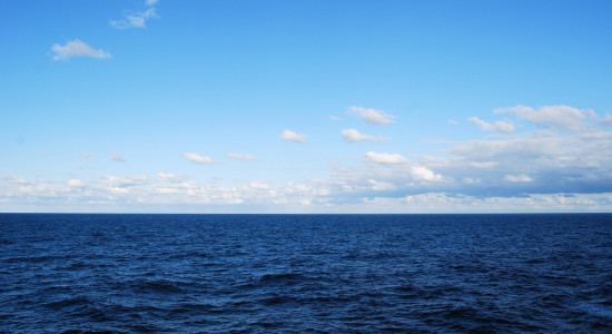 Thumbnail for 7008074