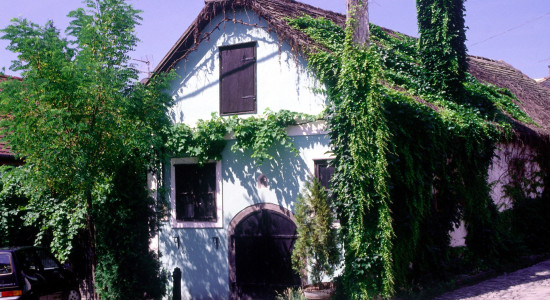 Thumbnail for 7008087