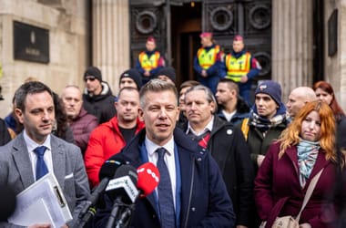 Thumbnail for 7008115