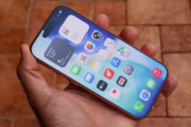 Thumbnail for 7008239