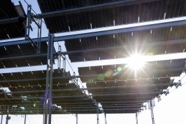 Thumbnail for 7008310