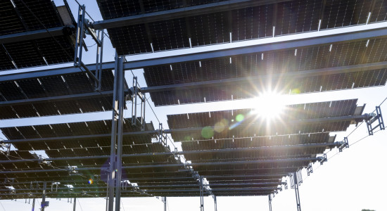 Thumbnail for 7008310