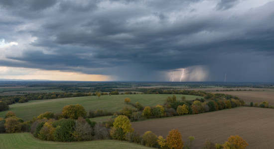 Thumbnail for 7008341