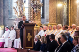 Thumbnail for 7008554