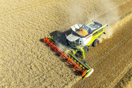 Thumbnail for 7008826