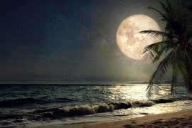 Thumbnail for 7009056