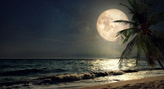 Thumbnail for 7009056