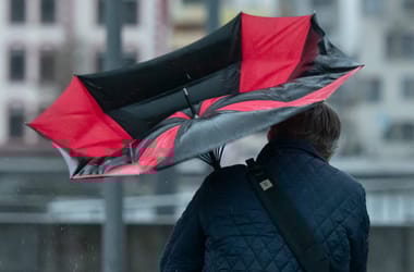 Thumbnail for 7009235