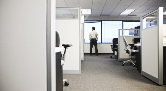 Thumbnail for 7009244