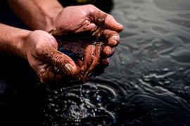 Thumbnail for 7009413