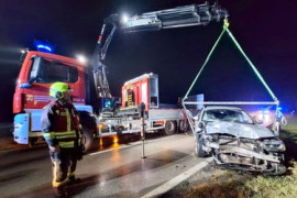 Thumbnail for 7009431