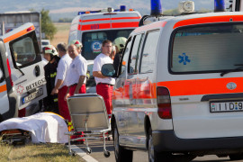 Thumbnail for 7009441