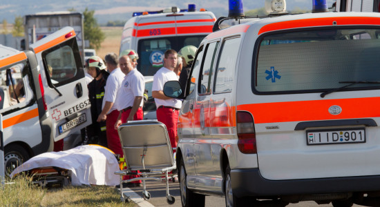 Thumbnail for 7009441