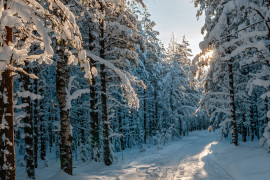 Thumbnail for 7009511