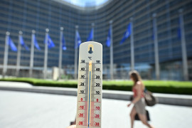 Thumbnail for 7009724