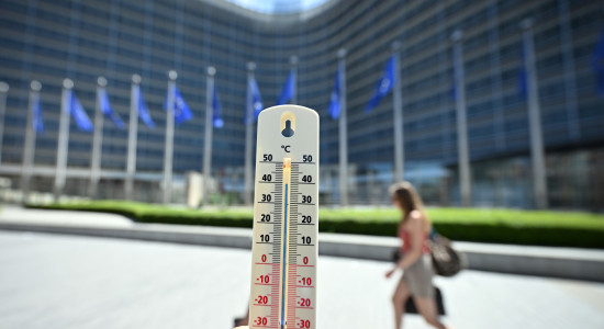 Thumbnail for 7009724