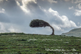 Thumbnail for 7009738