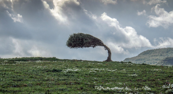 Thumbnail for 7009738