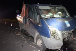 Thumbnail for 7009981