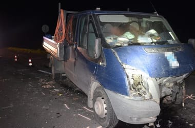 Thumbnail for 7009981