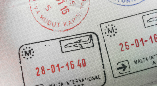 Thumbnail for 7009999