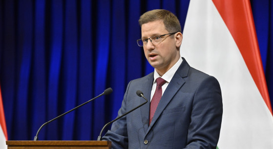 Thumbnail for 7010074