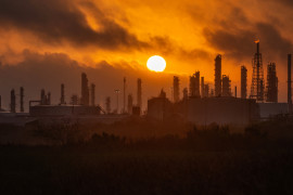 Thumbnail for 7010089