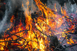 Thumbnail for 7010231