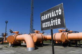 Thumbnail for 7010482