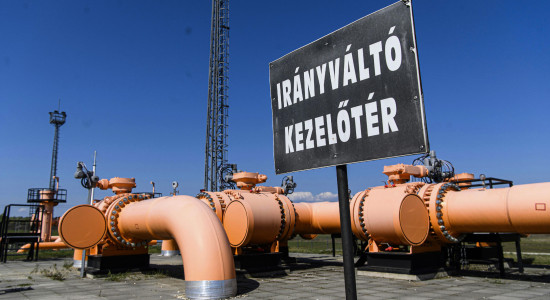 Thumbnail for 7010482