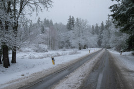 Thumbnail for 7010617