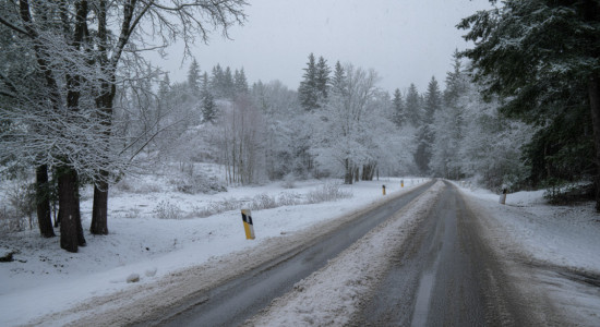 Thumbnail for 7010617