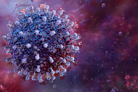 Thumbnail for 7010695