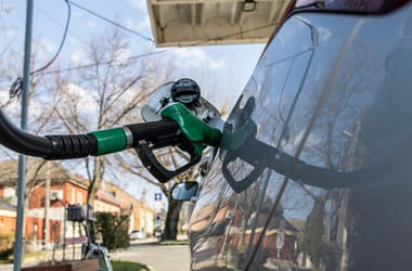 Thumbnail for 7011576