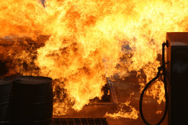 Thumbnail for 7011682