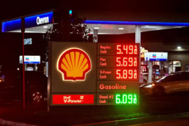 Thumbnail for 7011794