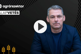 Thumbnail for 7011911