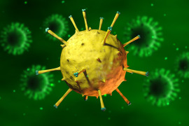 Thumbnail for 7011931