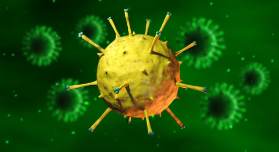 Thumbnail for 7011931