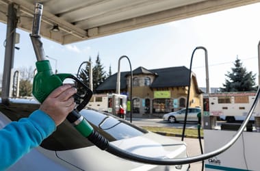 Thumbnail for 7012062