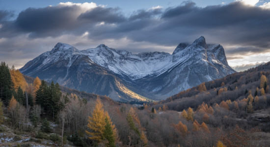 Thumbnail for 7012169