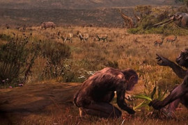 Thumbnail for 7012287