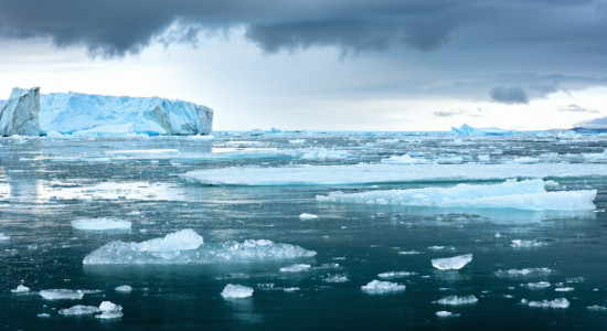 Thumbnail for 7012327