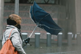 Thumbnail for 7012349