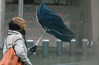 Thumbnail for 7012349