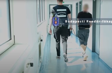 Thumbnail for 7012415