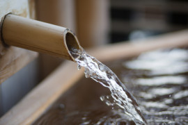 Thumbnail for 7012471