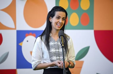 Thumbnail for 7012481