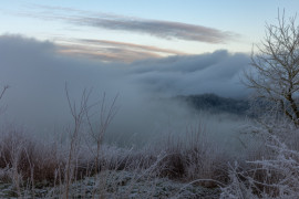 Thumbnail for 7012972